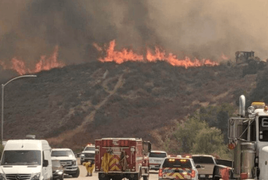 Wildfires: Steps to take before and after